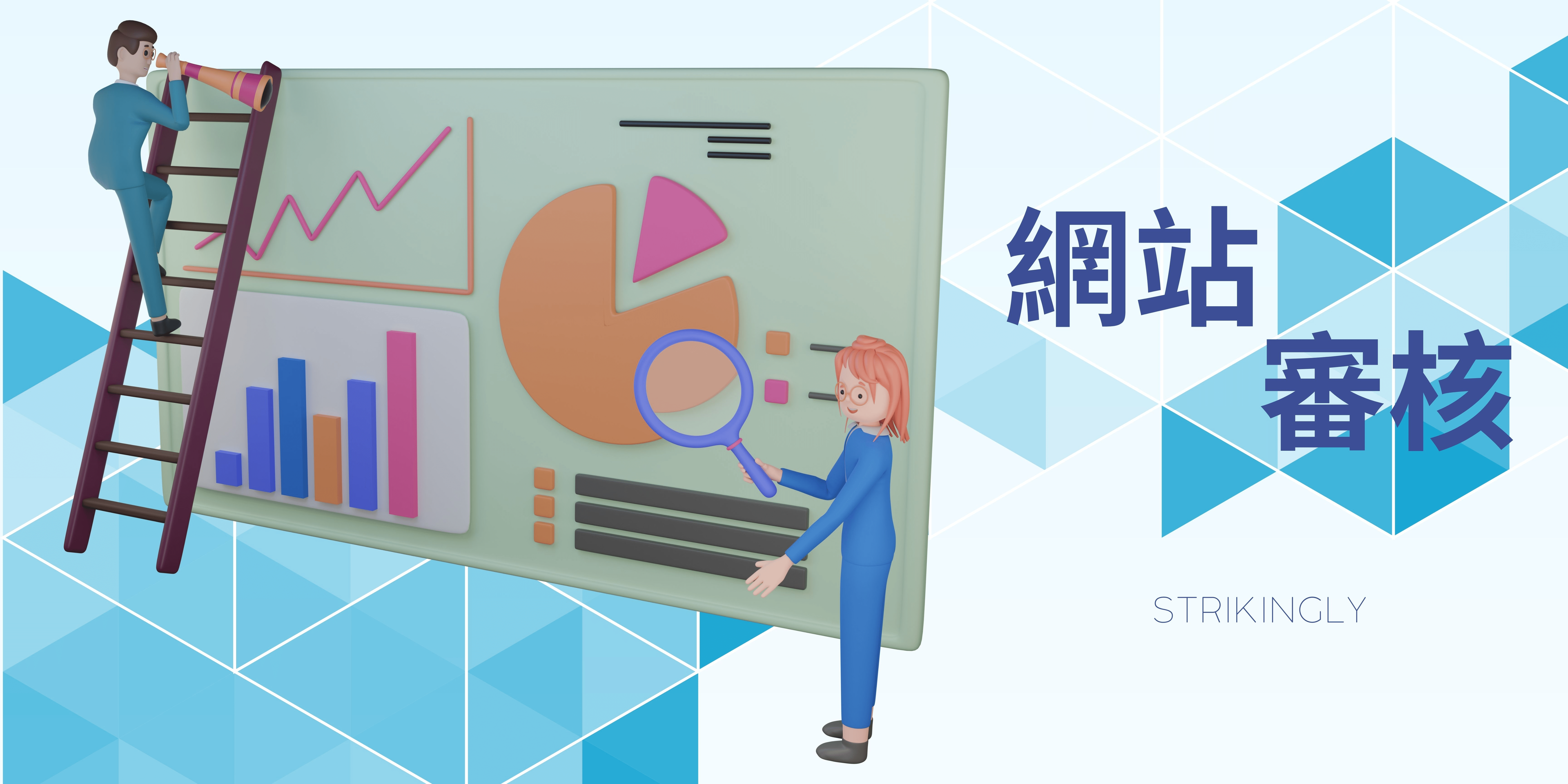 網站審核 網站審核